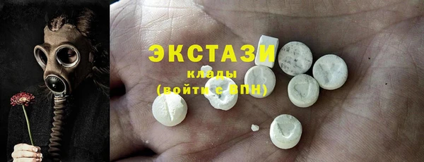 гидра Няндома