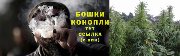 индика Нязепетровск