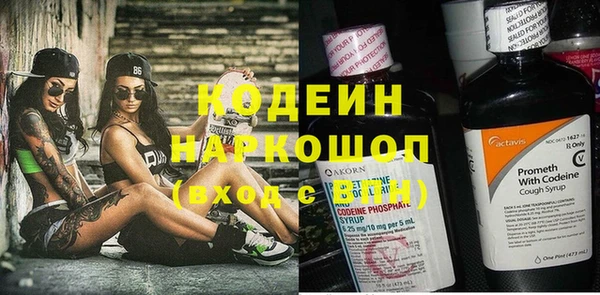 индика Нязепетровск