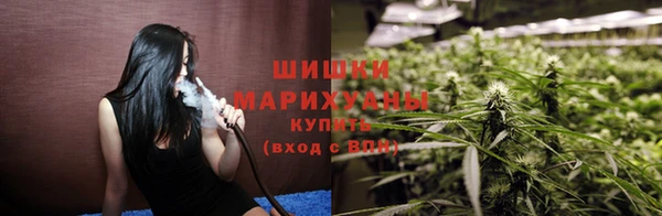 индика Нязепетровск