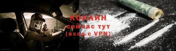 индика Нязепетровск