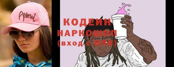 индика Нязепетровск