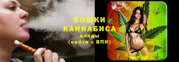 гидра Няндома