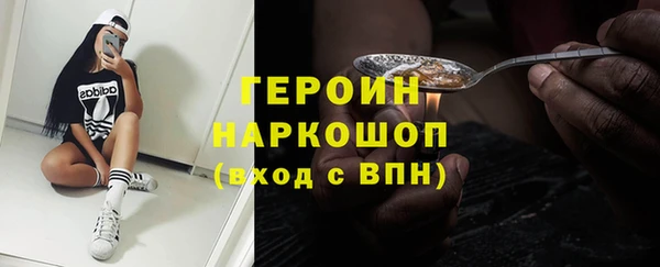 гидра Няндома