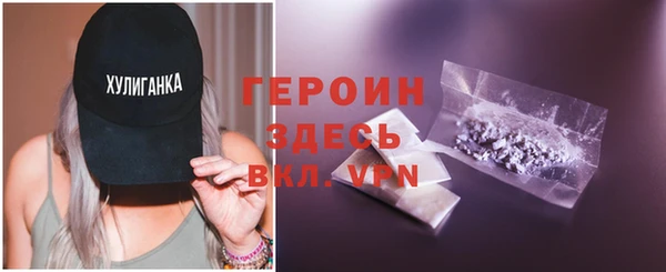 гидра Няндома