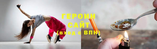 гидра Няндома