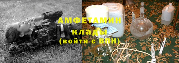 индика Нязепетровск