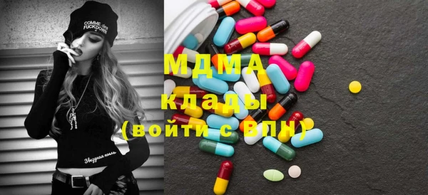 гидра Няндома