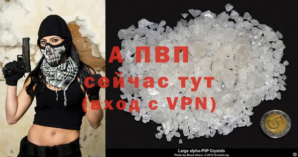 индика Нязепетровск