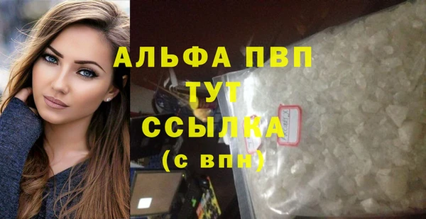гидра Няндома