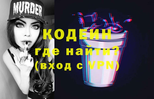 гидра Няндома