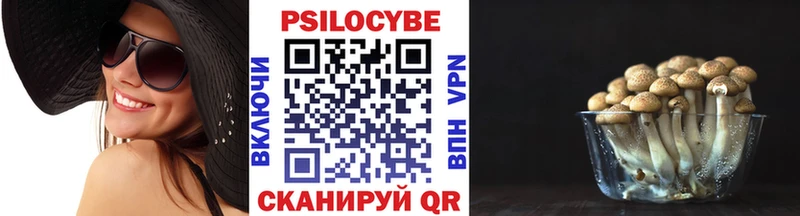 Галлюциногенные грибы мицелий  Новая Усмань 